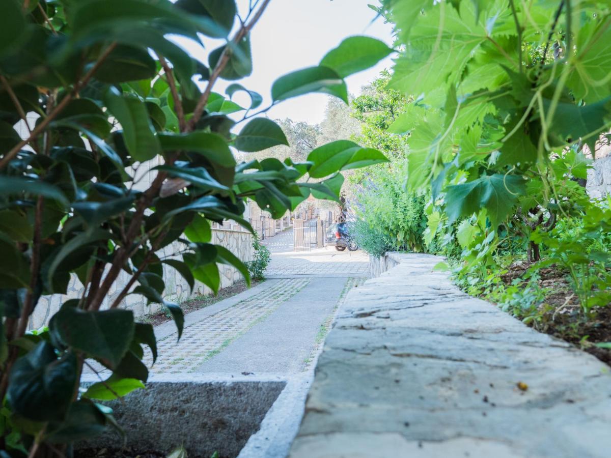 Rezevici Boutique Villa Petrovac エクステリア 写真