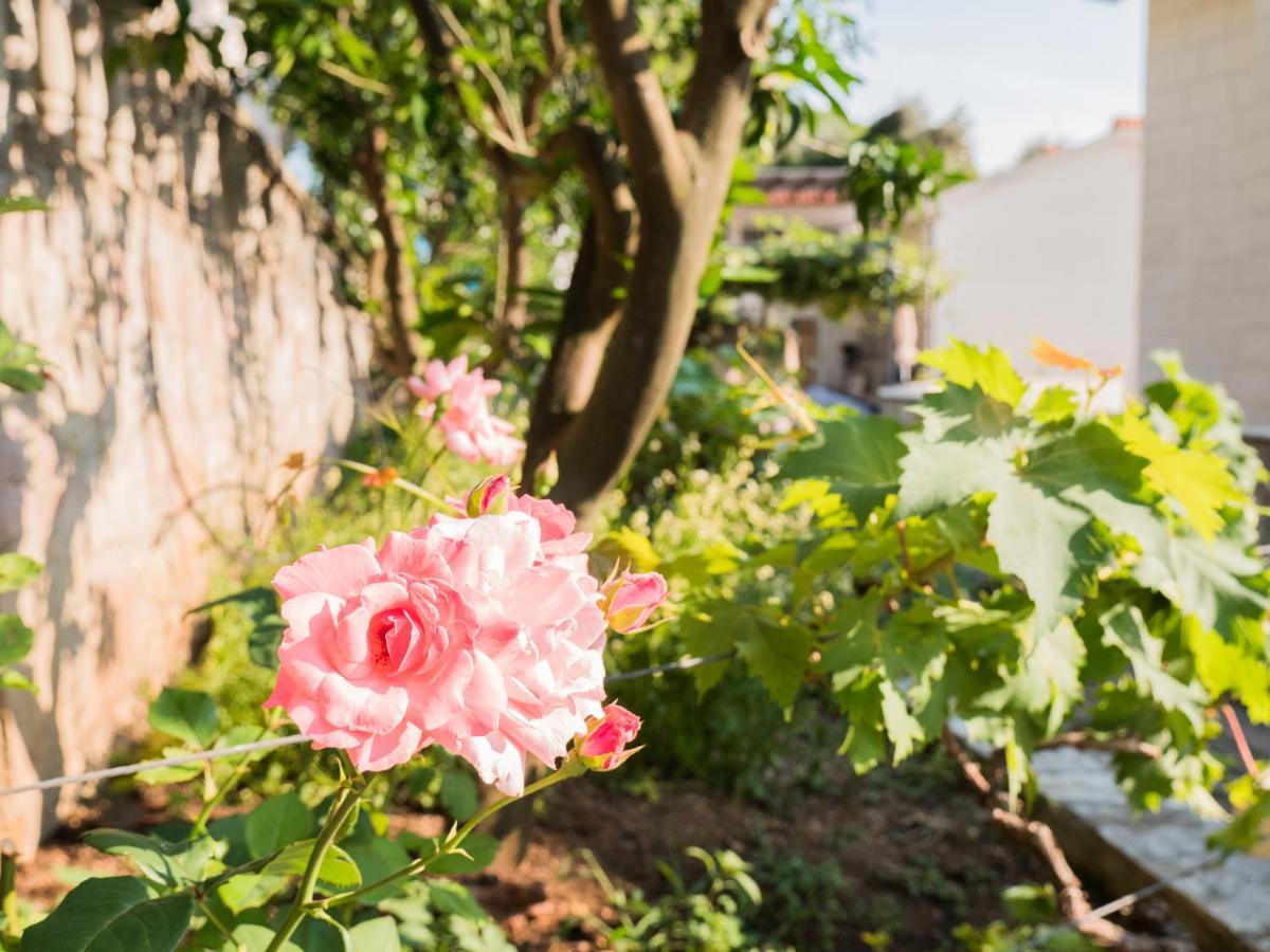 Rezevici Boutique Villa Petrovac エクステリア 写真